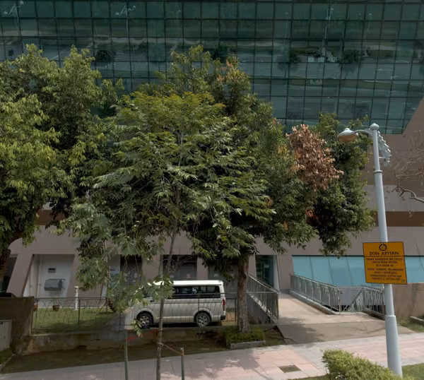 tree photo