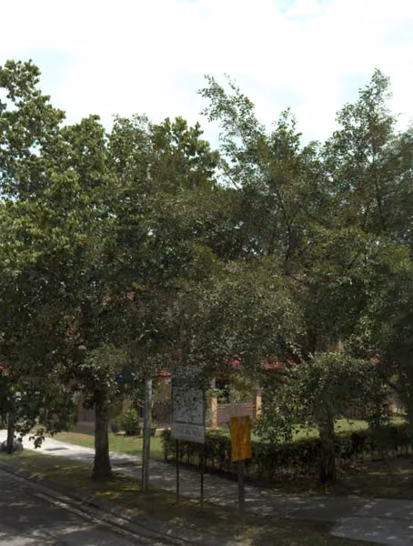 tree photo