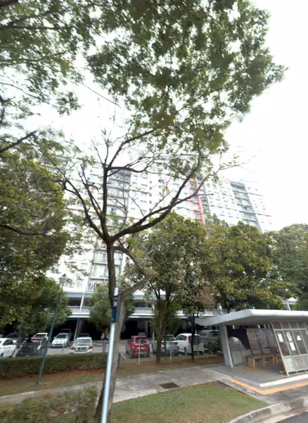tree photo