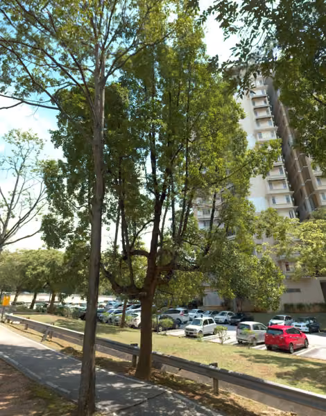 tree photo