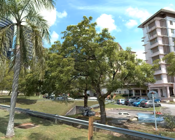 tree photo