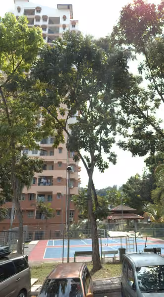 tree photo