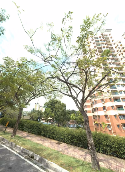 tree photo