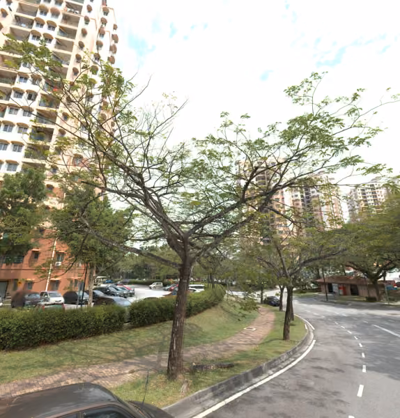 tree photo