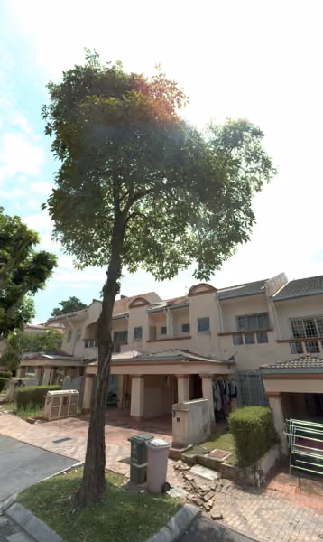tree photo