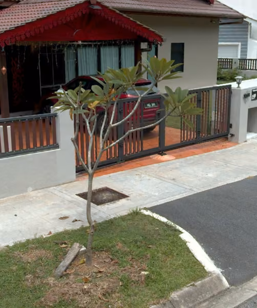 tree photo