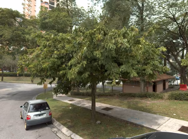tree photo