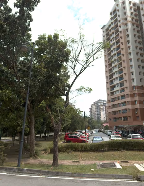 tree photo