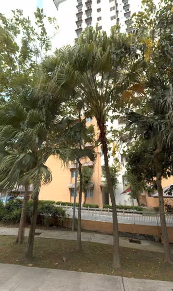 tree photo