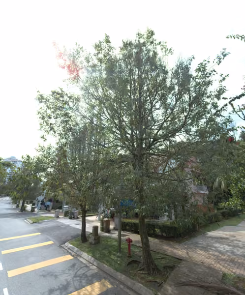 tree photo