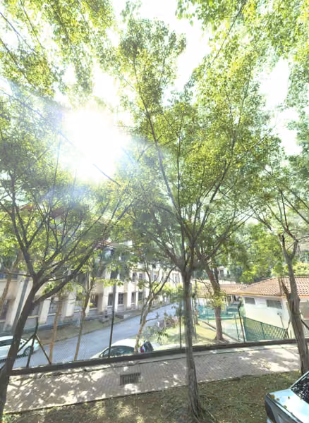 tree photo