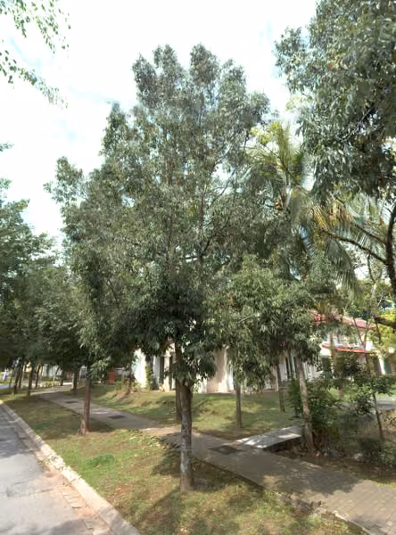 tree photo