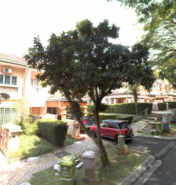 tree photo