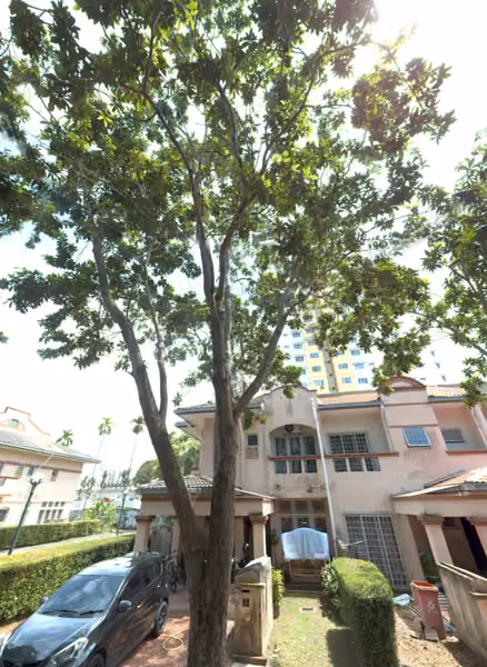 tree photo