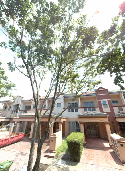 tree photo