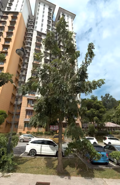 tree photo