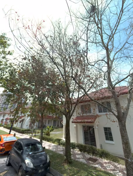 tree photo