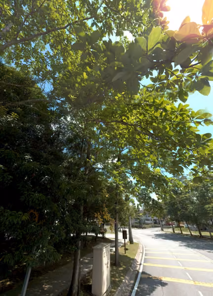 tree photo