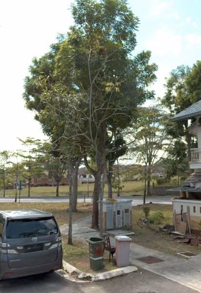 tree photo