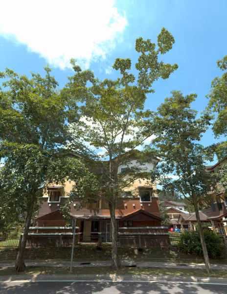 tree photo