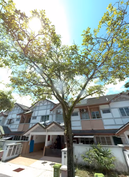 tree photo