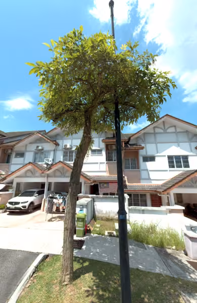 tree photo