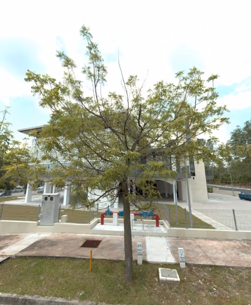 tree photo