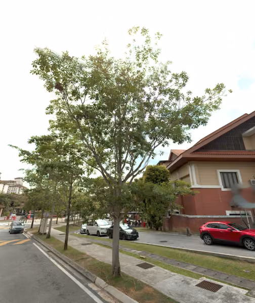 tree photo