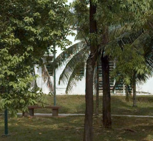 tree photo