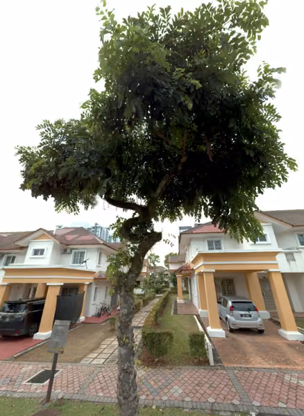 tree photo