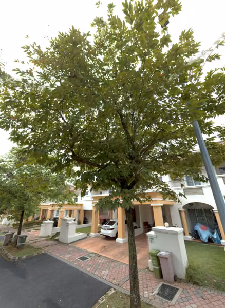 tree photo