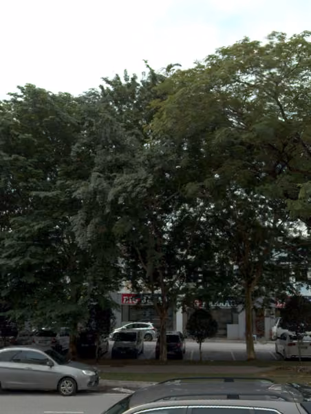 tree photo