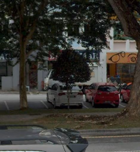 tree photo