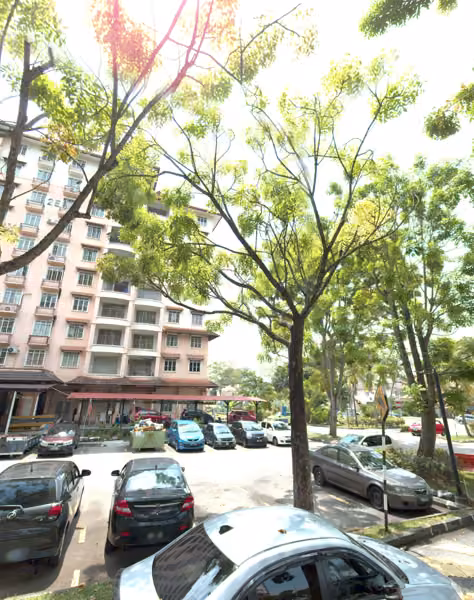 tree photo