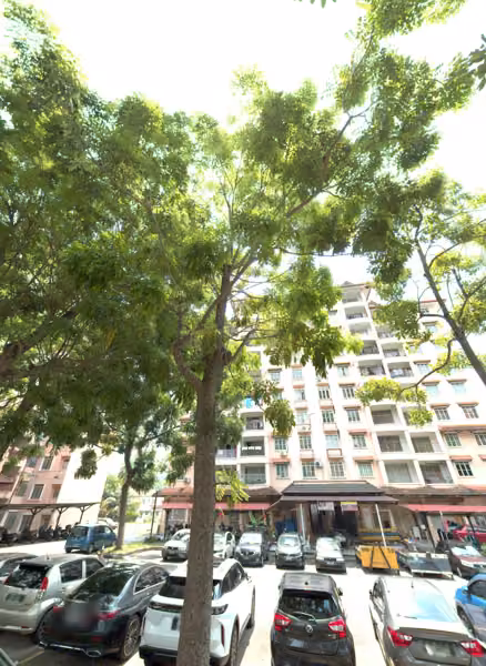 tree photo