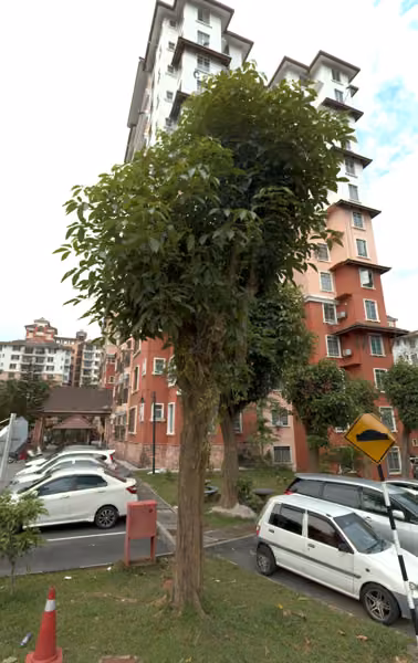 tree photo