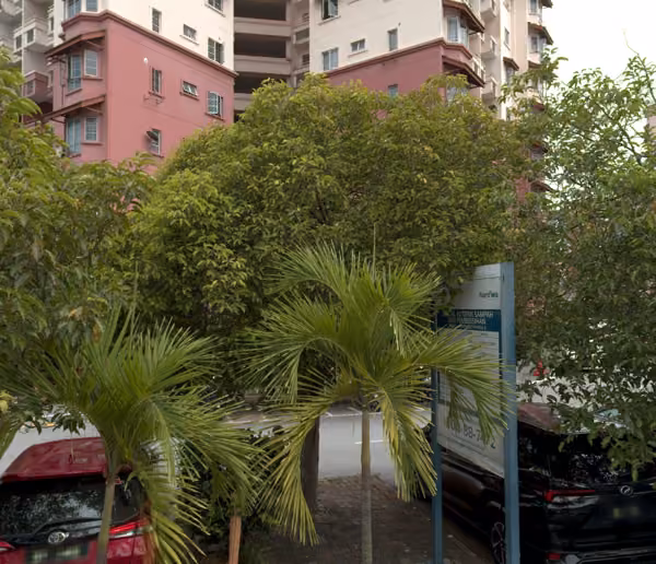 tree photo