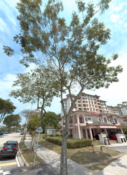 tree photo