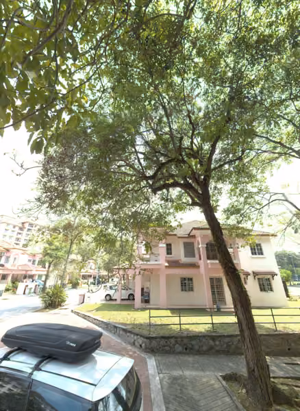 tree photo