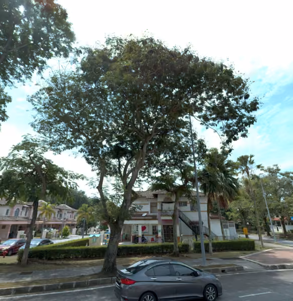 tree photo