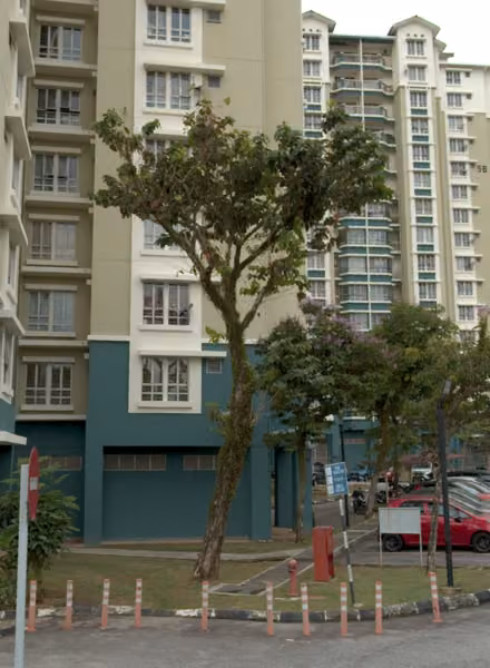 tree photo