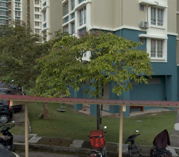 tree photo