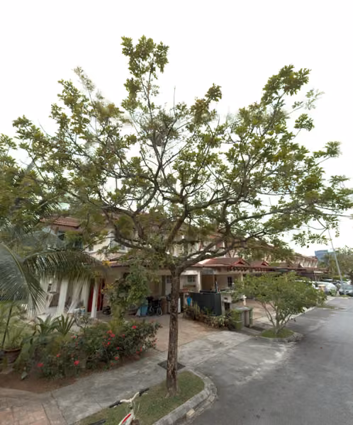 tree photo