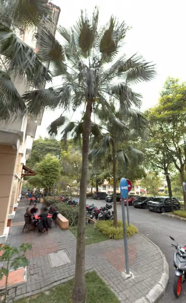 tree photo