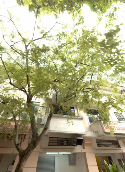 tree photo