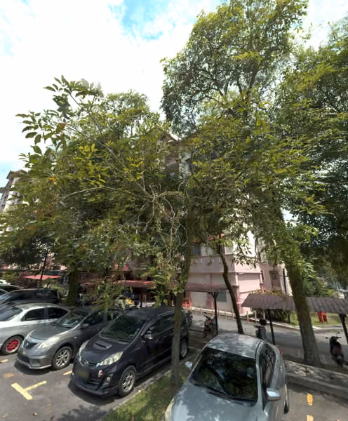tree photo