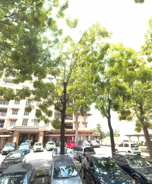tree photo