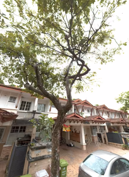 tree photo