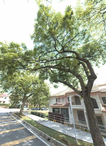 tree photo