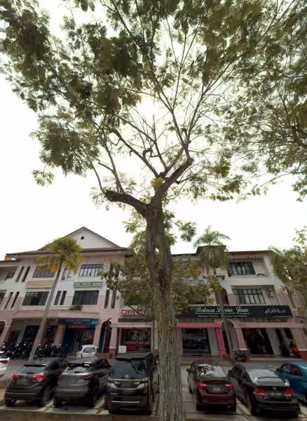 tree photo